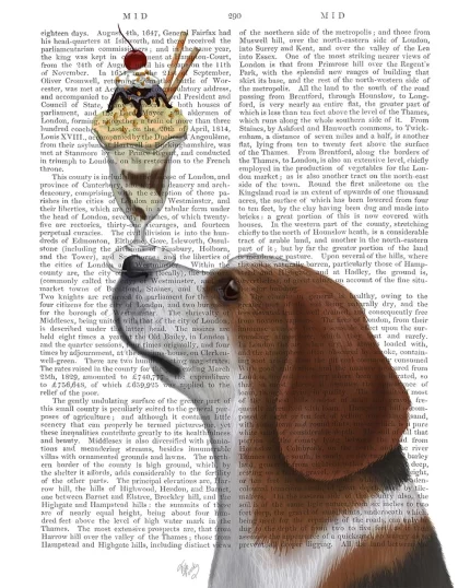 Beagle Ice Cream, Book Print, Dog Art Print, Wall Art