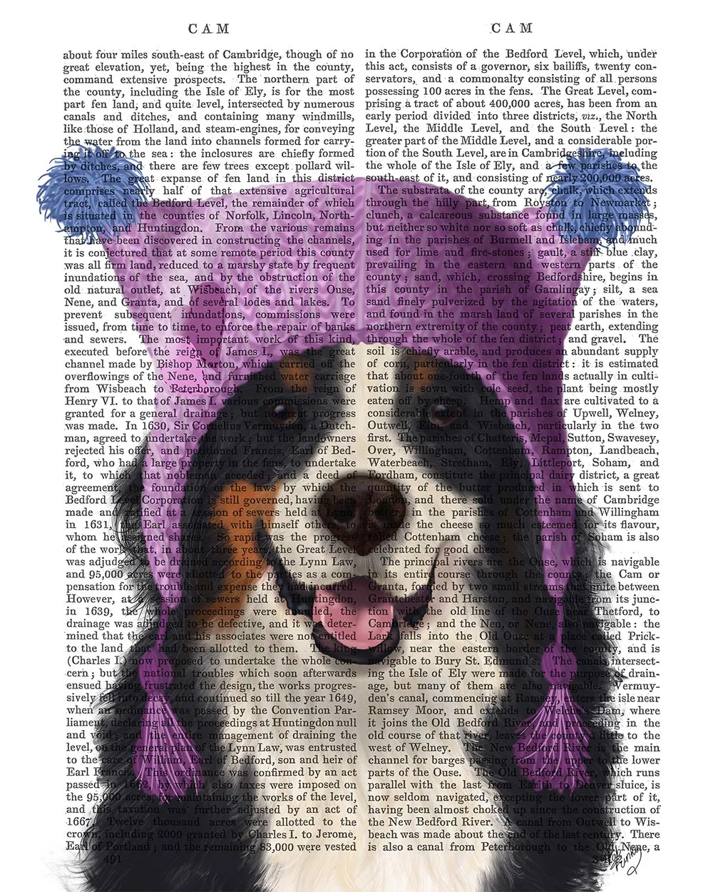 7hBernese-And-Bobble-Hat-Book-Print-Dog-Art-Print-Wall-Art