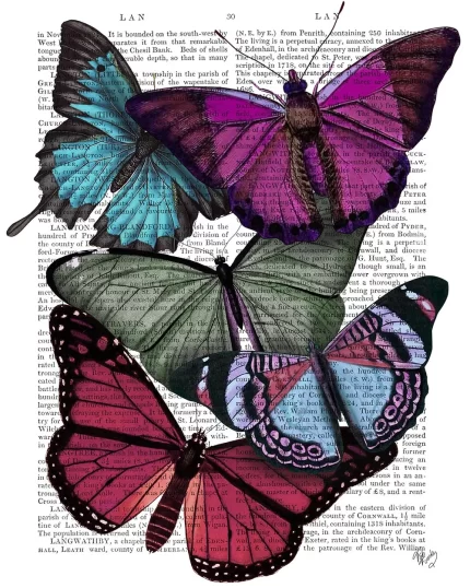 Big Bold Butterflies 3, Book Print, Art Print, Wall Art