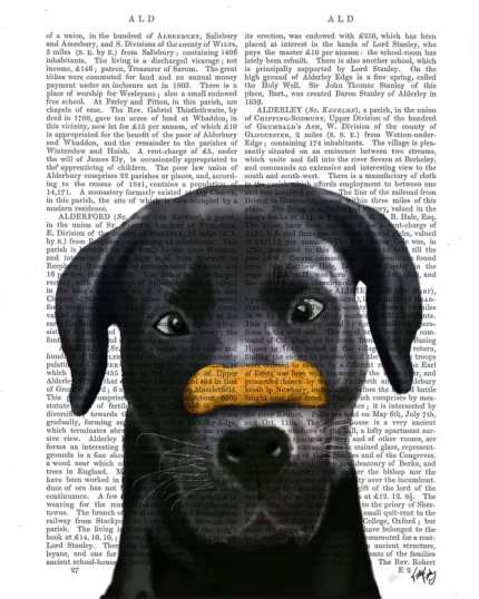 Black Labrador with Bone on Nose Dog Book Print, Art Print, Wall Art