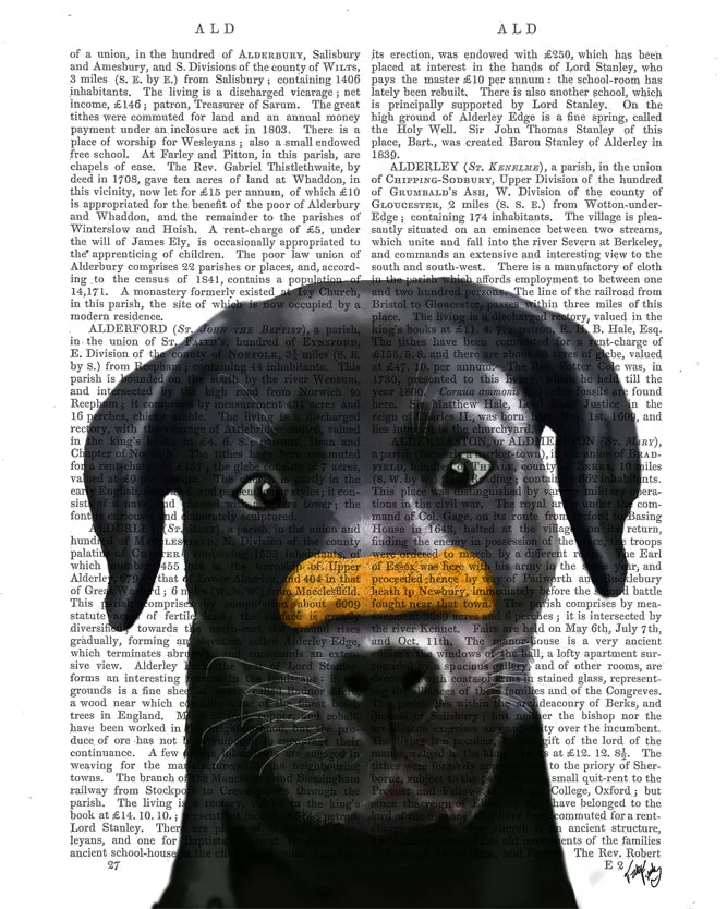 7lBlack-Labrador-with-Bone-on-Nose-Dog-Book-Print-Art-Print-Wall-Art