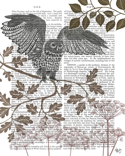 Country Lane Owl 5, Earth, Book Print, Art Print, Wall Art