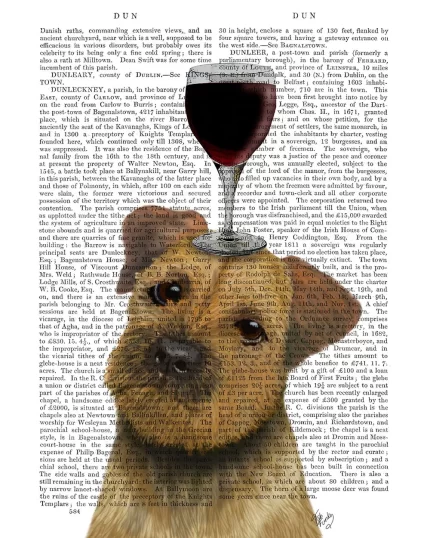 Border Terrier, Dog Au Vin, Book Print, Dog Art Print, Wall Art