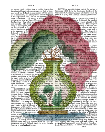 Pink Green Vase 3, Chinoiserie Book Print, Art Print, Wall art