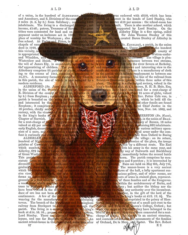 8bCocker-Spaniel-Cowboy-Dog-Book-Print-Art-Print-Wall-Art