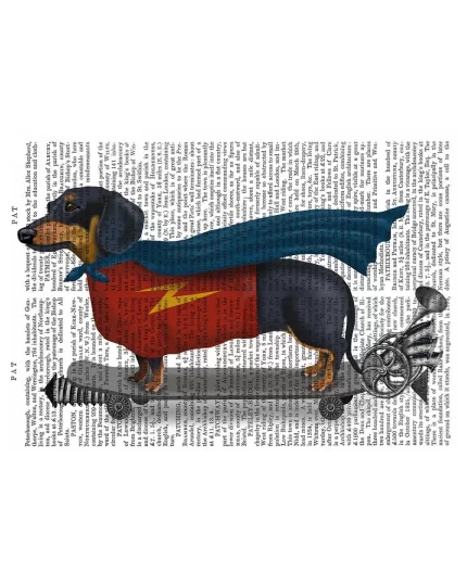 Dachshund On Skateboard, Book Print, Dog Art Print, Wall Art