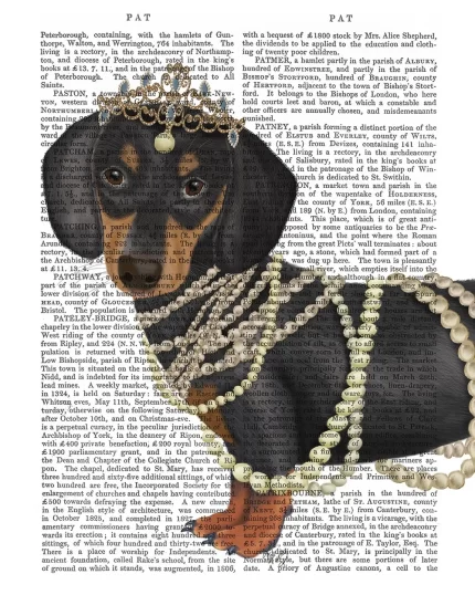 Dachshund and Tiara, Book Print, Dog Art Print, Wall Art