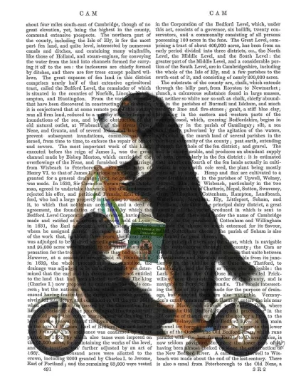Bernese Scooter, Book Print, Dog Art Print, Wall Art