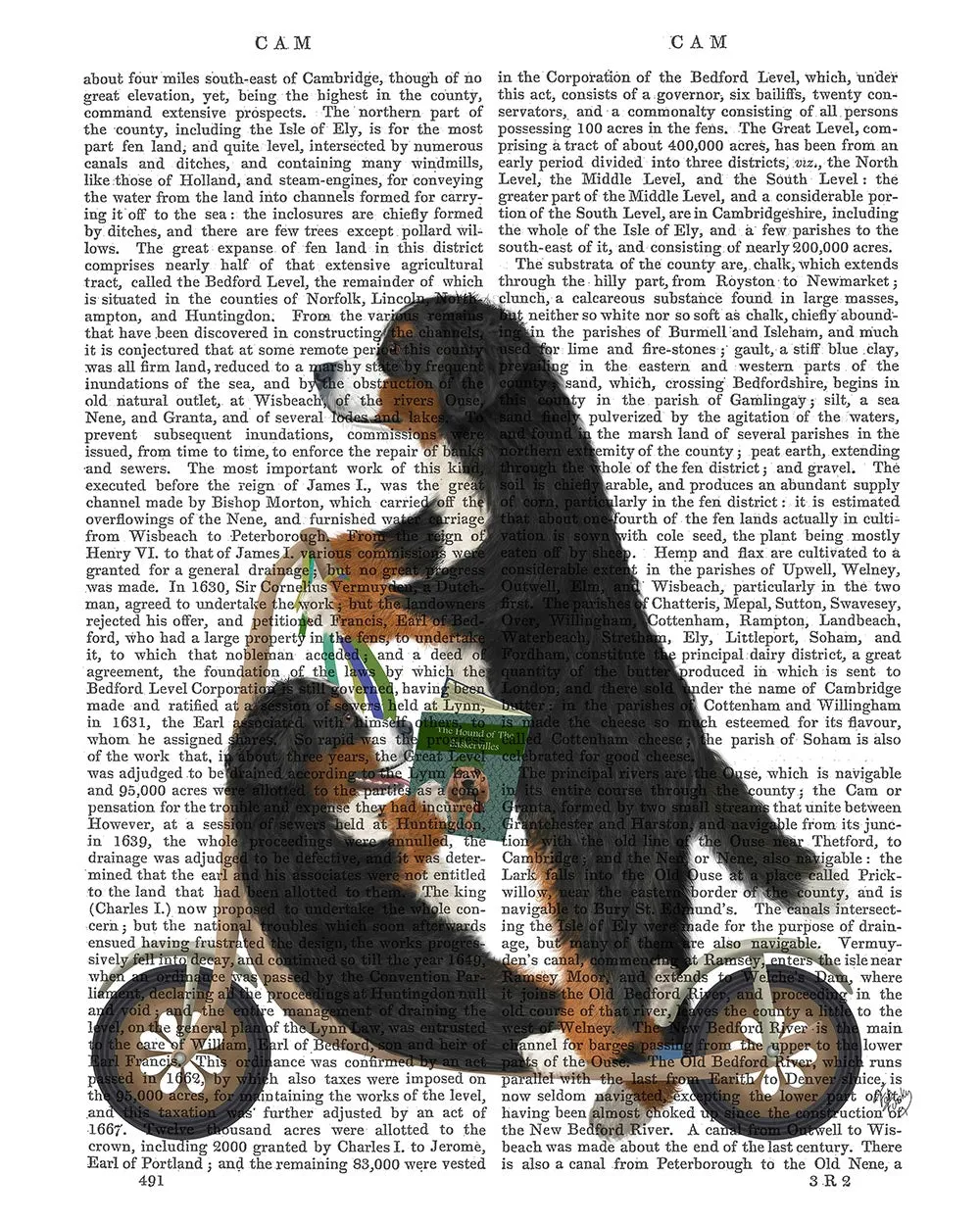 8hBernese-Scooter-Book-Print-Dog-Art-Print-Wall-Art