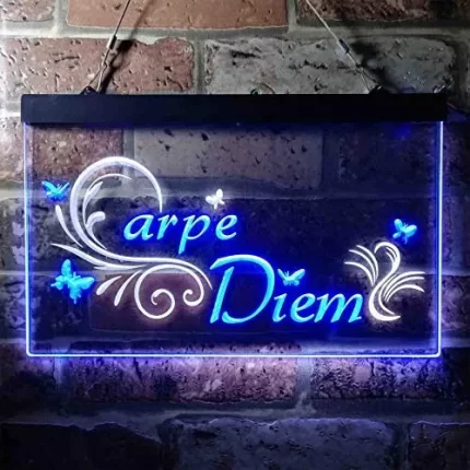 Carpe Diem Seize The Day Bedroom Quote LED Light Sign
