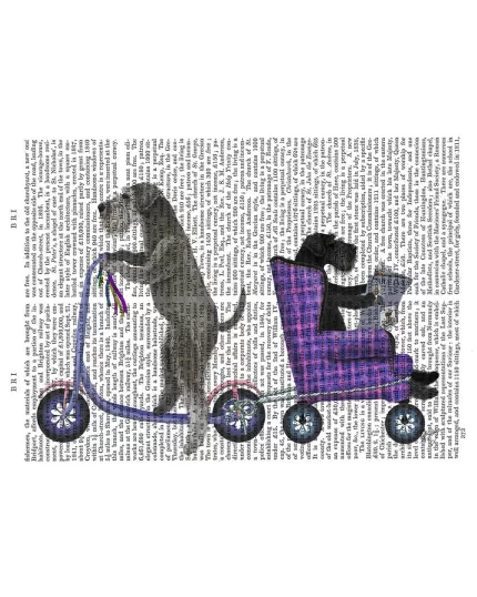 Schnauzer Scooter, Book Print, Dog Art Print, Wall Art