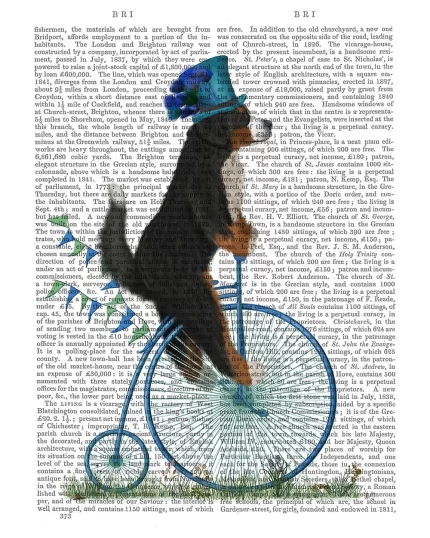 Bernese on Penny Farthing, Book Print, Dog Art Print, Wall Art