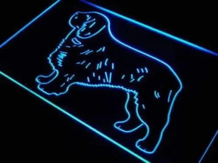 Clumber Spaniel LED Light Sign