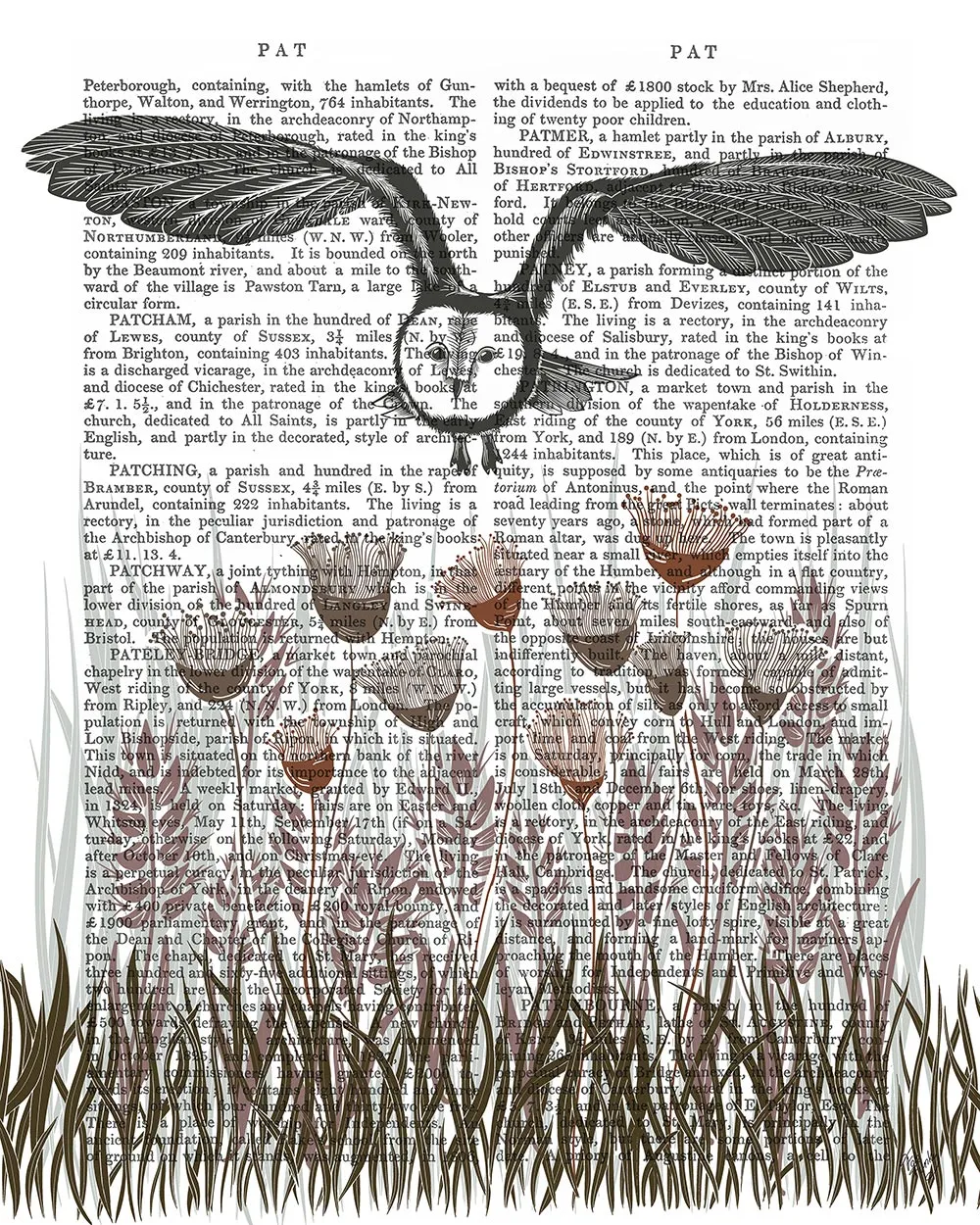 8xCountry-Lane-Owl-4-Earth-Book-Print-Art-Print-Wall-Art