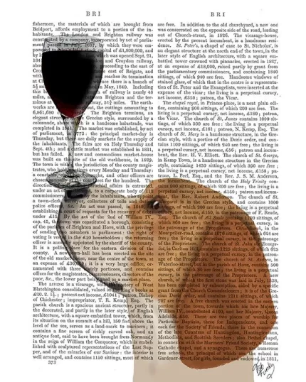 Beagle, Dog Au Vin, Book Print, Dog Art Print, Wall Art