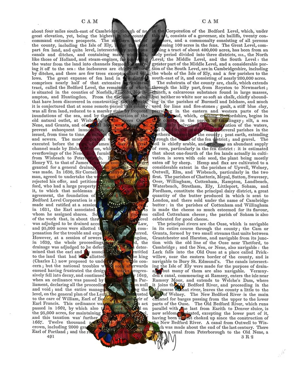 8yRabbit-Butterfly-Dress-Book-Print-Art-Print-Wall-Art