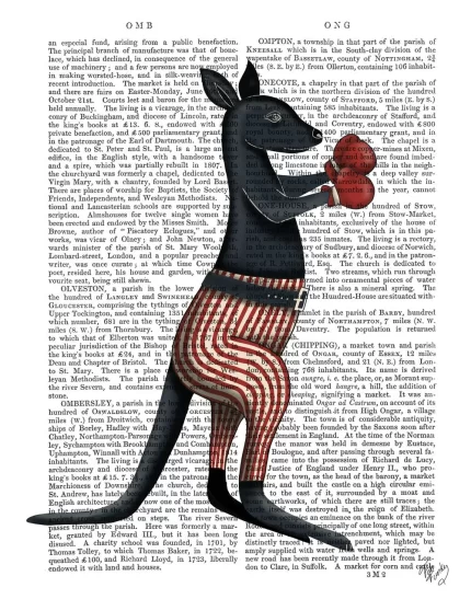 Kangaroo Boxing, Sideshow Book Print, Art Print, Wall Art