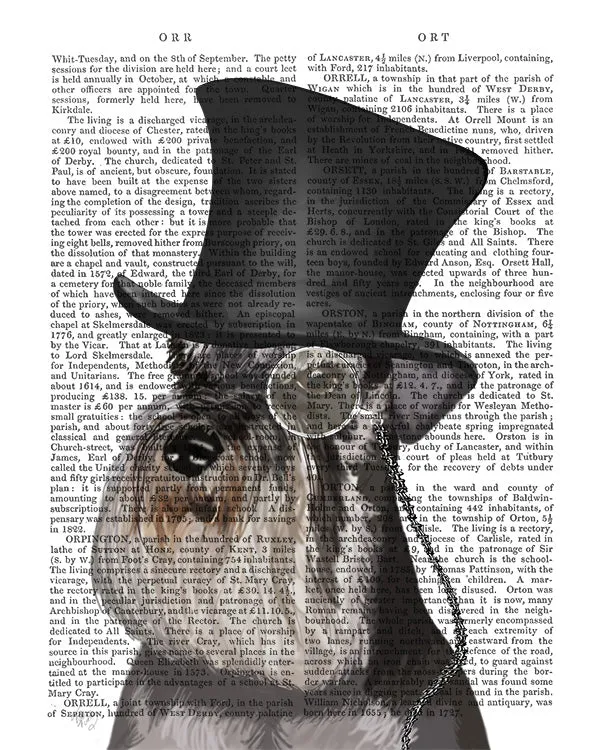 9iSchnauzer-Formal-Hound-and-Hat-Dog-Book-Print-Art-Print-Wall-Art