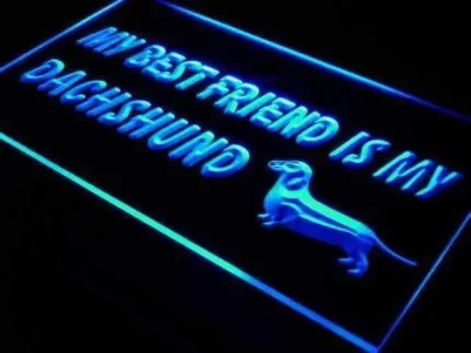 Best Friend Dachshund LED Light Sign