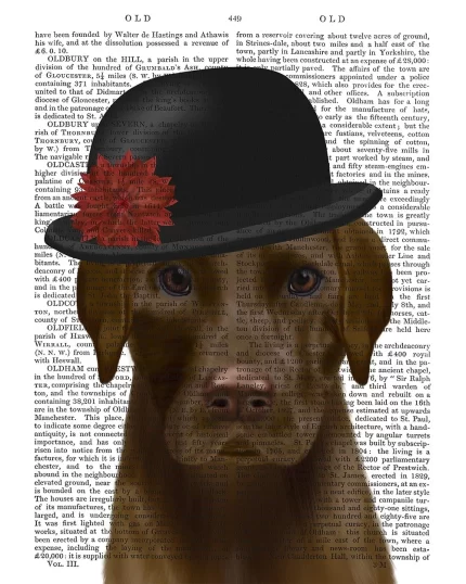 Chocolate Labrador and Bowler, Book Print, Dog Art Print, Wall Art