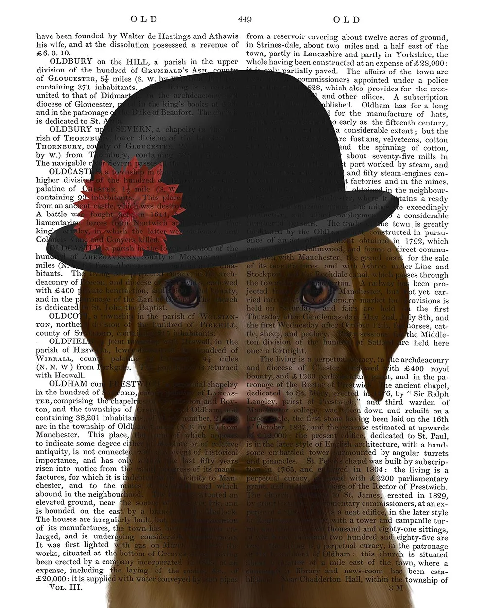 9kChocolate-Labrador-and-Bowler-Book-Print-Dog-Art-Print-Wall-Art