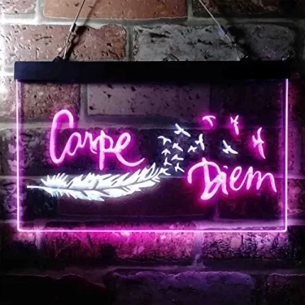 Carpe Diem Seize The Day LED Light Sign