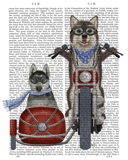 Husky Chopper and Sidecar, Book Print, Dog Art Print, Wall Art