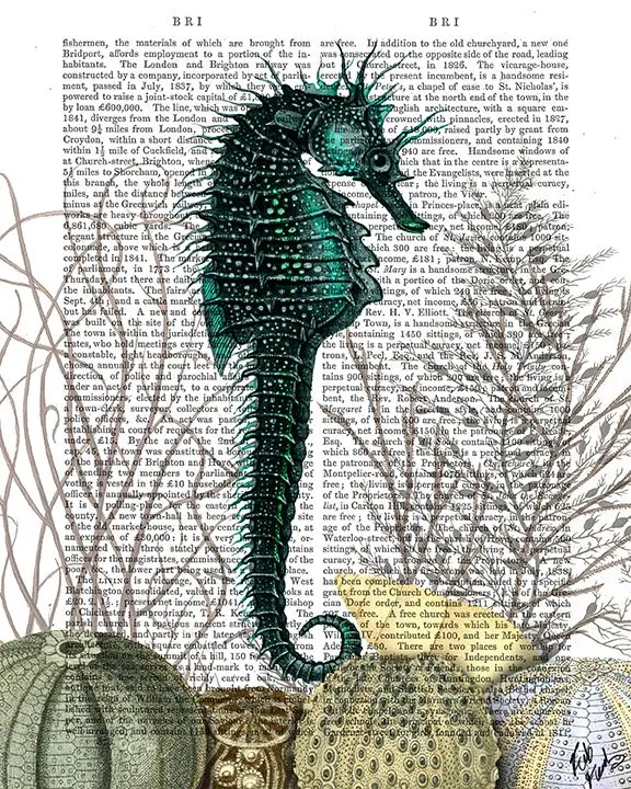 9qSeaHorse-and-Sea-Urchins-Book-Print-Art-Print-Wall-Art