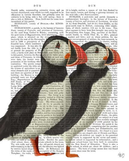 Puffin Pair, Book Print, Art Print, Wall Art