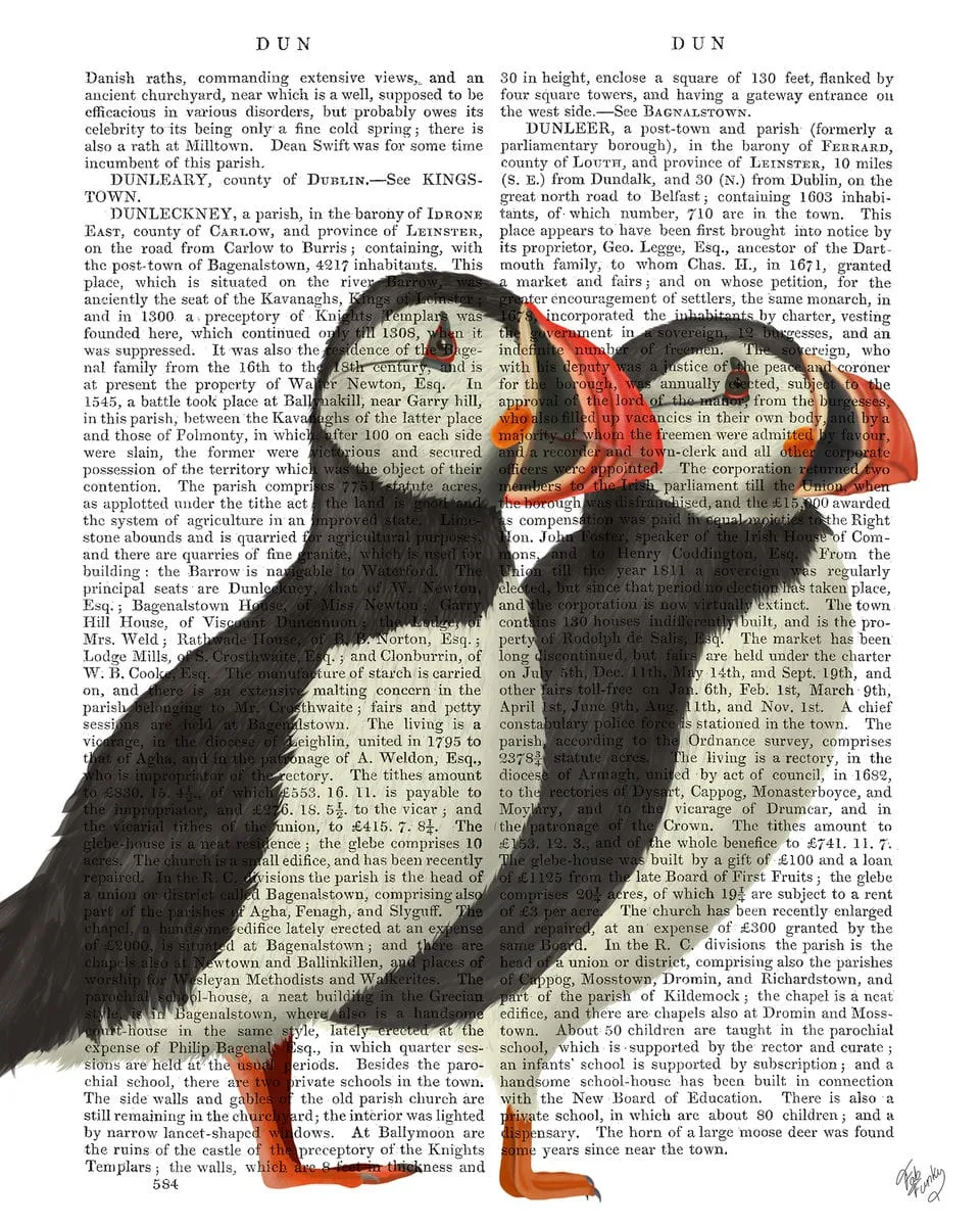 9rPuffin-Pair-Book-Print-Art-Print-Wall-Art