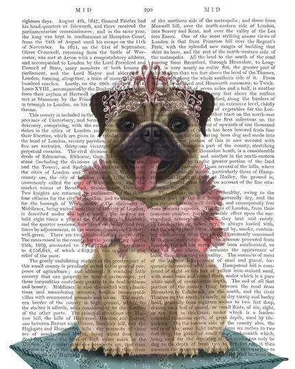 Pug Princess On Cushion, Book Print, Dog Art Print, Wall Art