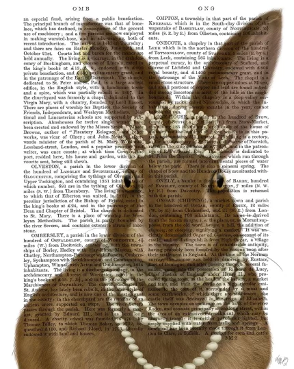 Rabbit and Pearls, Portrait, Book Print, Art Print, Wall Art