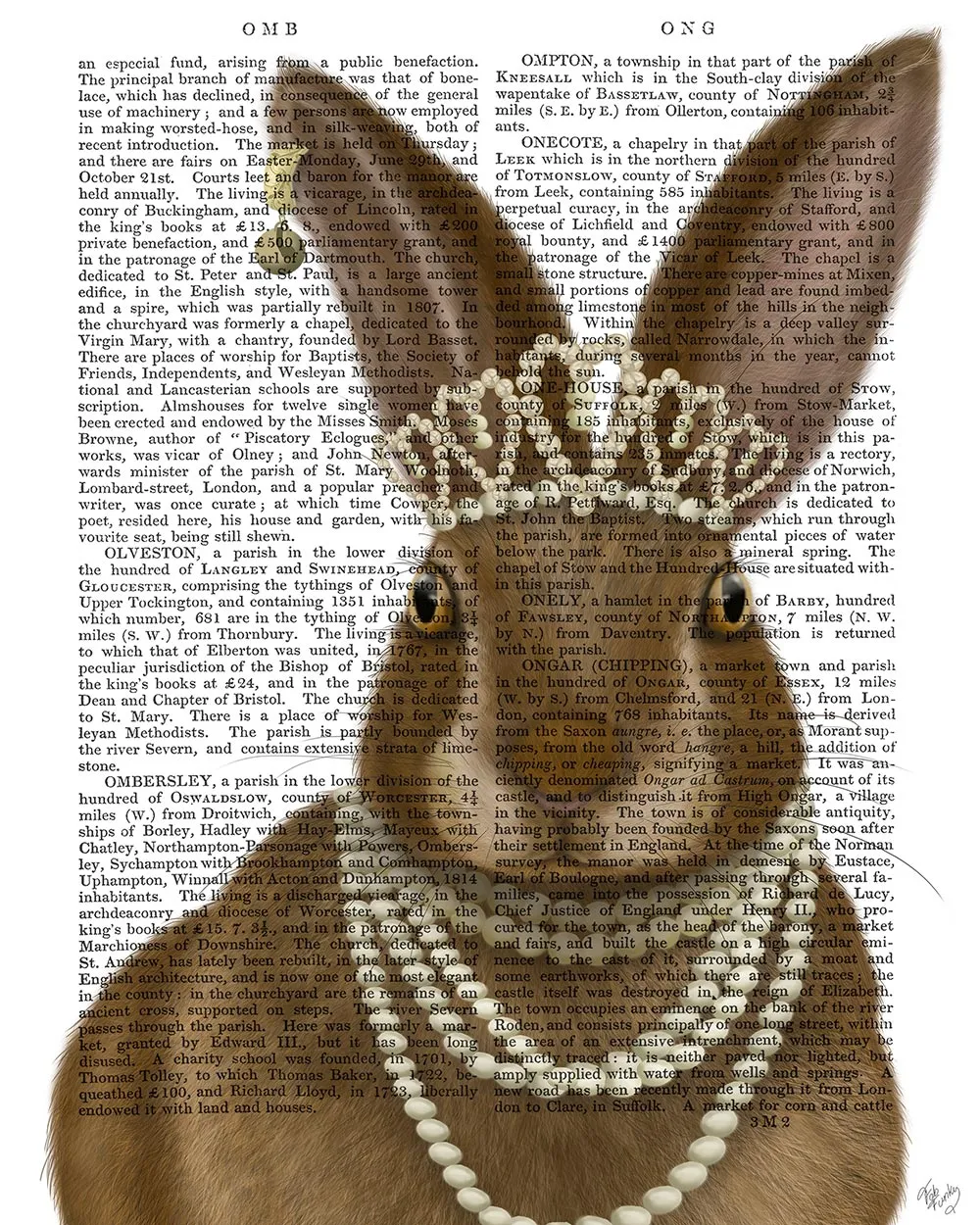 9yRabbit-and-Pearls-Portrait-Book-Print-Art-Print-Wall-Art