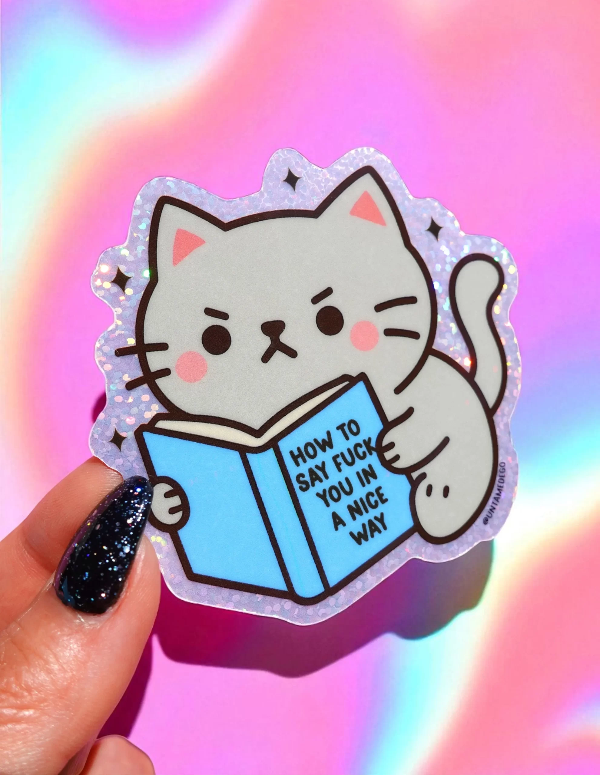 3xFunny-Angry-Cat-Sticker-How-to-Say-Fuck-You-in-a-Nice-Way-Angry-Kitty-Holographic-Vinyl-Sticker