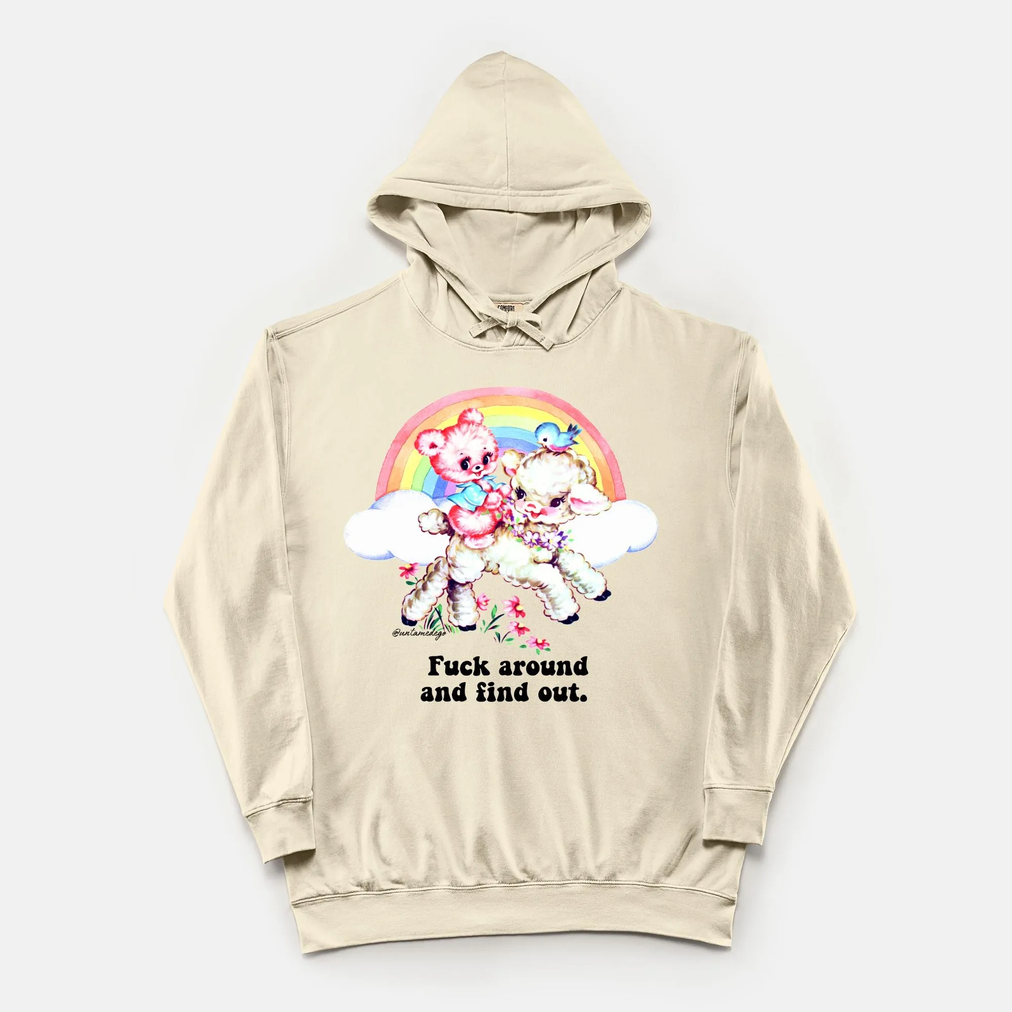 6eFuck-Around-And-Find-Out-Vintage-Hoodie